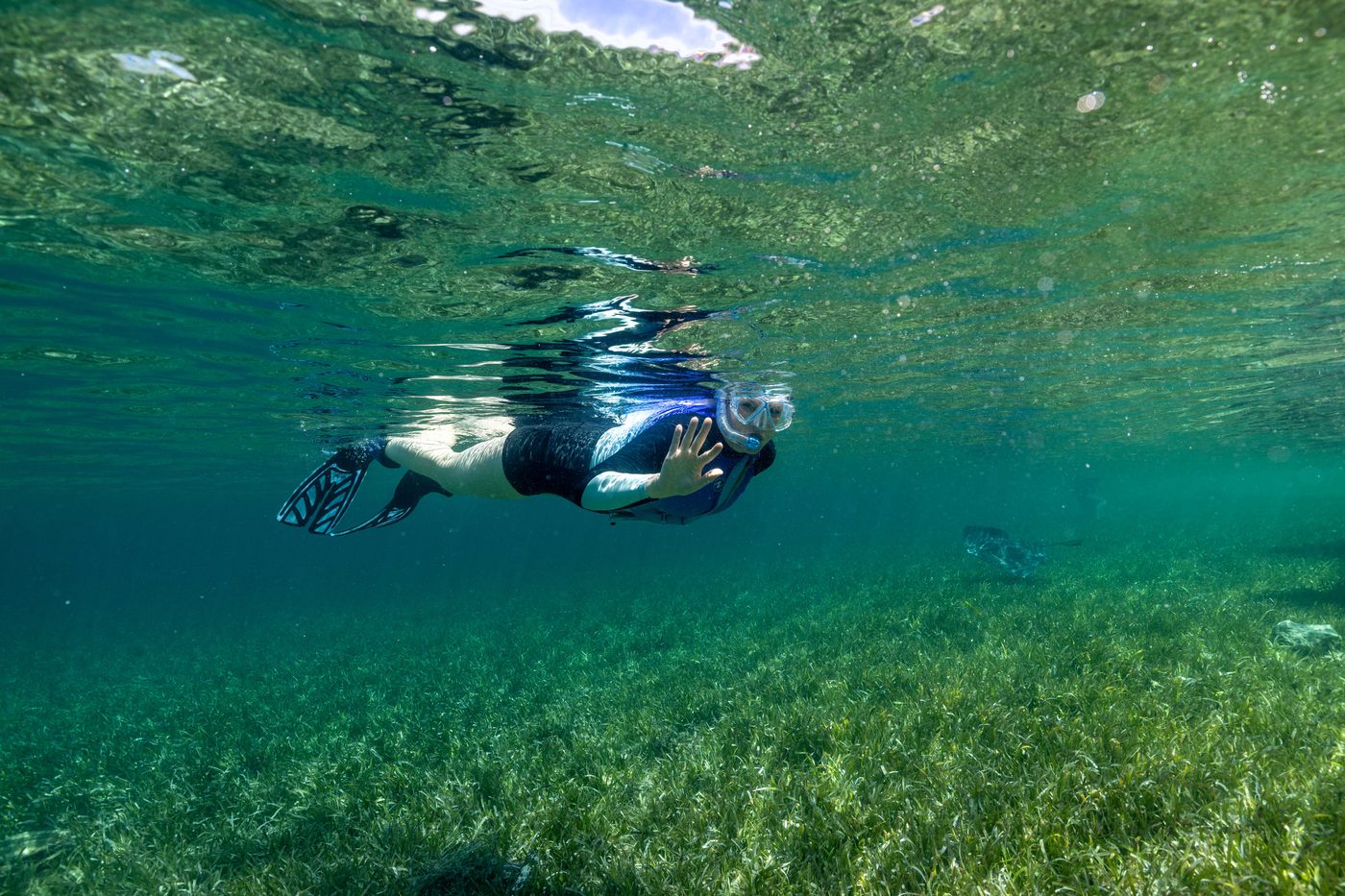 Dr. Booker snorkeling over a seagrass flat, waving at the camera.