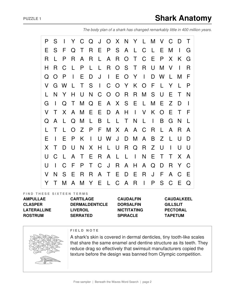 Sample page: Puzzle 1, Shark Anatomy, with a word grid, sixteen terms to find, and a field note about shark skin with a drawing of dermal denticles
